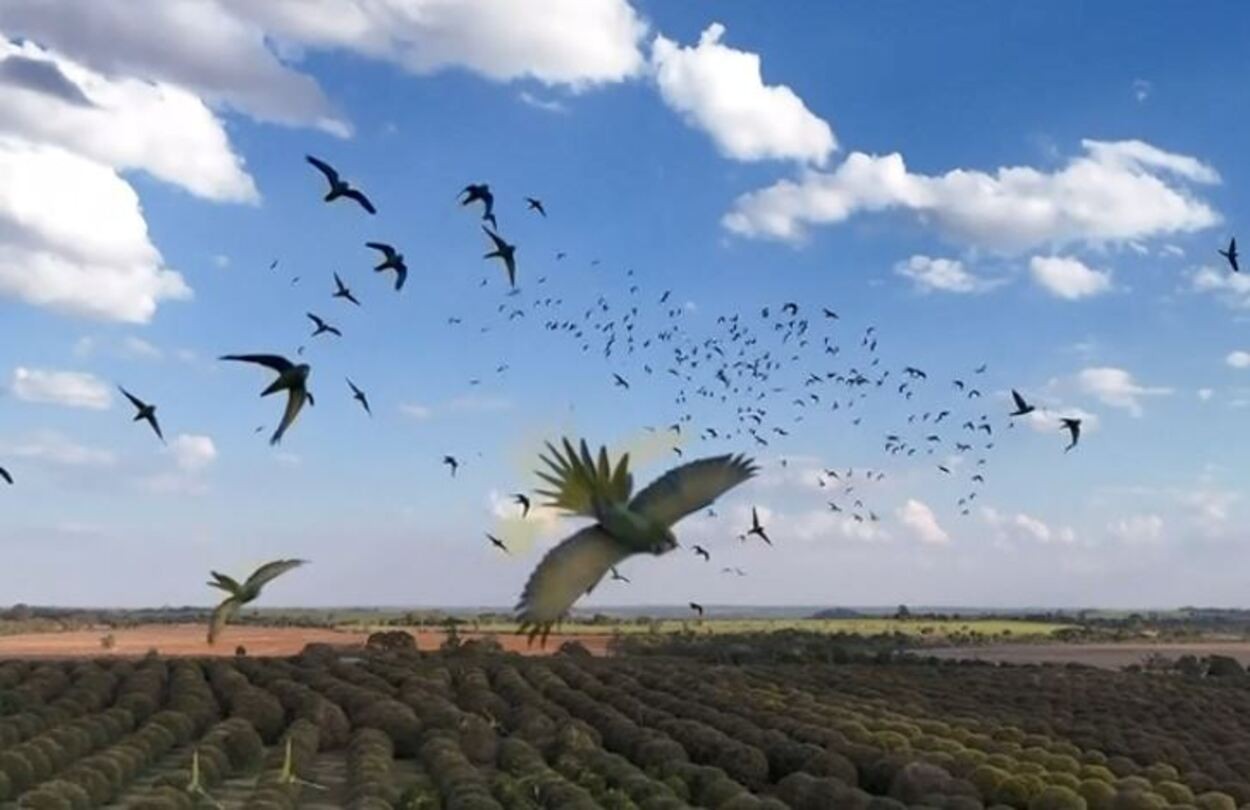 foto Not&iacute;cia Matão