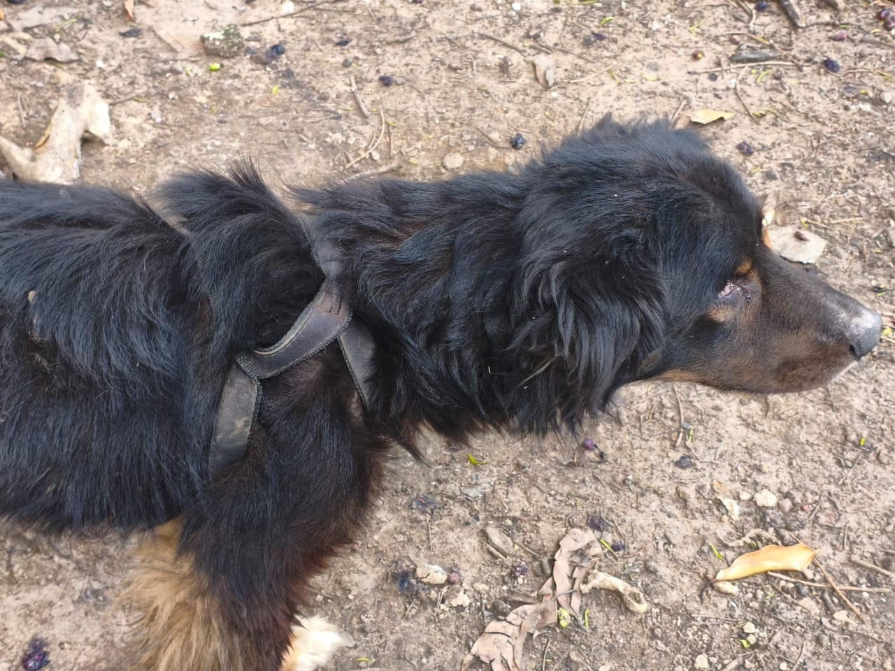 foto Not&iacute;cia Matão